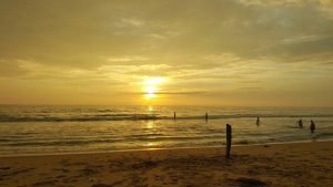 Kappil Lake in Varkala, Kerala – Backwaters, Boating, Best Time, and Travel Guide