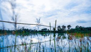 Golaghat