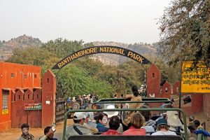 Ranthambore National Park in Sawai Madhopur, Rajasthan – Safari Zones, Booking, Best Time, and Travel Guide