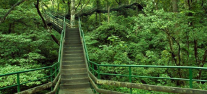 Eco-Tourism in Kerala: The Complete Guide (2026)