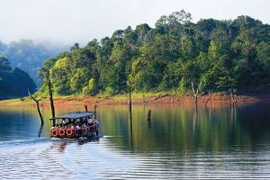 Periyar Tiger Reserve Thekkady – Safari, Boating & Travel Guide