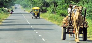 Getting Around Rajasthan in 2026: The Complete Transport Guide