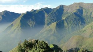 Top Station, Kerala: Panoramic Views Above the Hills