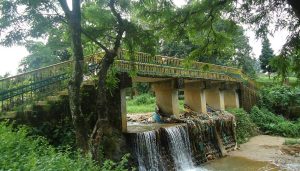 Indira Gandhi Park, Itanagar – Timings, Entry Fee, Attractions & Visitor Guide