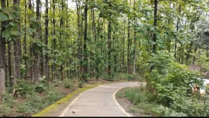 Kanaklata Memorial Park