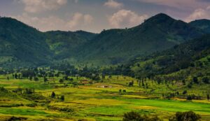 Araku Valley