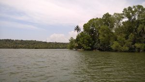 Ponnumthuruthu Island