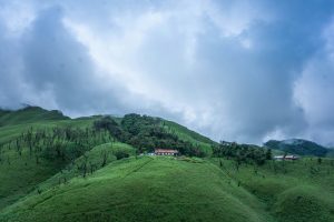 Nagaland