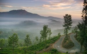 Chembra Peak in Wayanad, Kerala – Trek Permit, Heart Lake, Route, and Travel Guide
