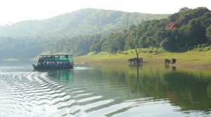 Periyar Wildlife Sanctuary, Kerala: A Journey into the Wild