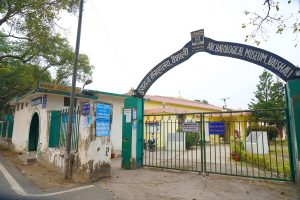 Vaishali Museum