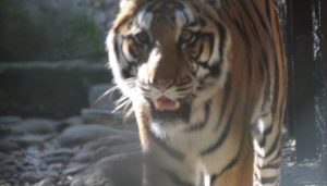 Biological park Itanagar