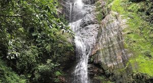 Chadwick Falls