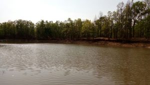 Hazaribagh National Park