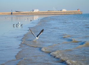 Mandvi Beach