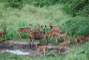 Indravati National Park