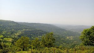 Wilson Hill