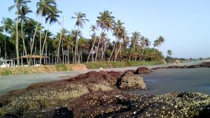 Morjim Beach