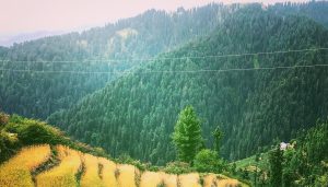 KamruNag Temple (Bada Dev) – Trek, History & Travel Guide