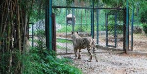 Bannerghatta Biological Park