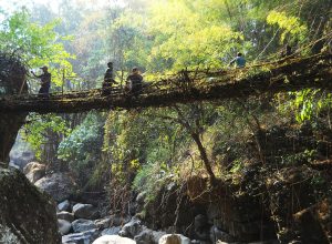 Kongthong Village Meghalaya – The Whistling Village, History & Travel Guide