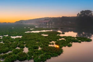 Madhav National Park