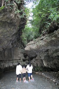 Robber’s Cave Dehradun (Guchhupani) – Entry Fee, Timings, Best Time to Visit & Travel Guide