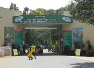 Sanjay Gandhi National Park and Kanheri Caves in Mumbai, Maharashtra – Entry Fees, Timings, Trek Routes, and Visitor Guide