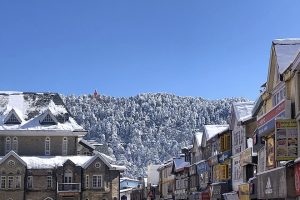 Shimla