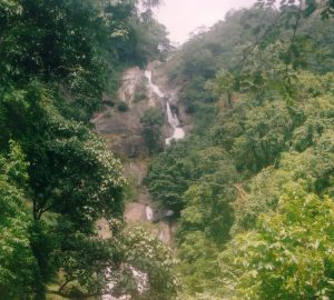Siruvani Waterfalls and Dam near Coimbatore, Tamil Nadu – Entry, Timings, Route, and Visitor Guide