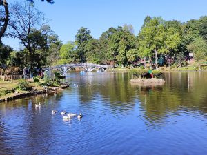 Ward’s Lake