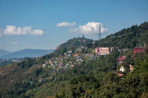 Why You Should Visit West Bengal: A Local’s Honest Travel Guide
