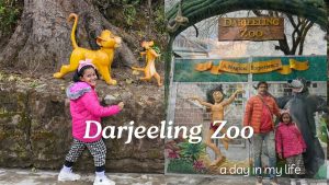 Himalayan Mountaineering Institute & Zoo