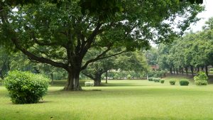 Heritage Park