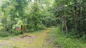 Rowa Wildlife Sanctuary