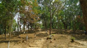 Loukoipat Ecological Park