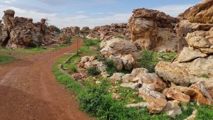 Oravakallu Rock Garden