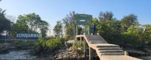 Sajnekhali Wildlife Sanctuary – Timings, Entry Fee & Visitor Guide