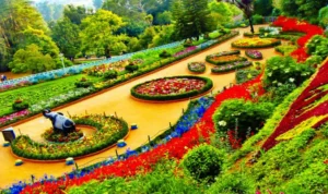 Hazi Park Nagaland: A Complete Travel Guide for Visitors