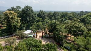 Rangapahar Reserve Forest – Quiet Nature Place Near Dimapur