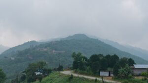 Nokrek National Park: What to Expect Before You Go