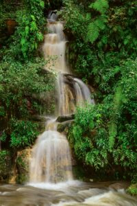Mawlynnong Village: What to Expect Before You Go