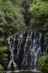 Elephant Falls Shillong: Entry Fee, Timings, Three Tiers and Travel Tips