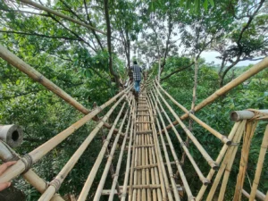 Sky Walk Mawlynnong: Entry Fee, Views, Best Time to Visit and Tips